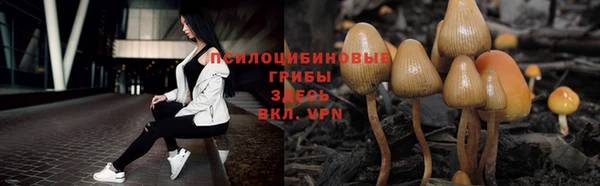 mix Вяземский